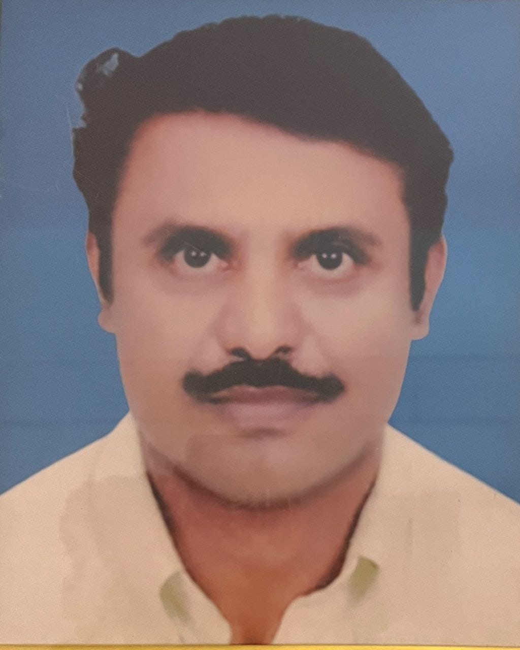 Sree Sankara College