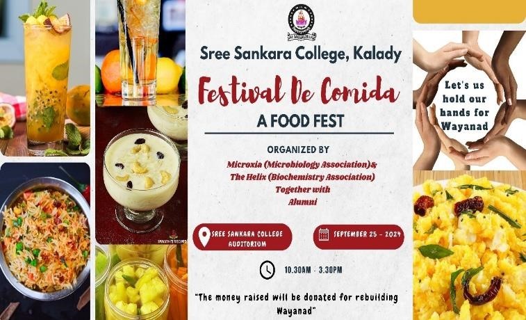 Food Fest-  “Festival de Comida”