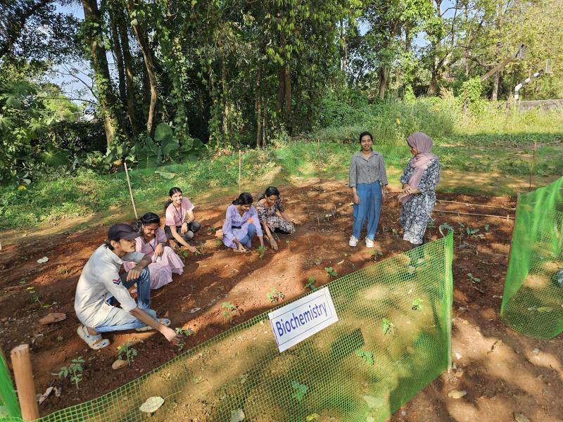 ‘Cultivating Knowledge and Harvesting Sustainability’: A Vegetable Garden Initiative by Students